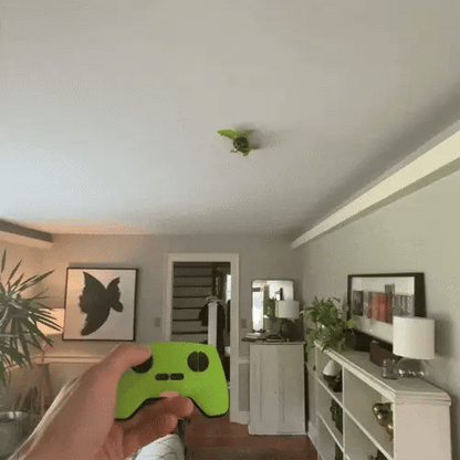 Everly Lizard - Play Pack™